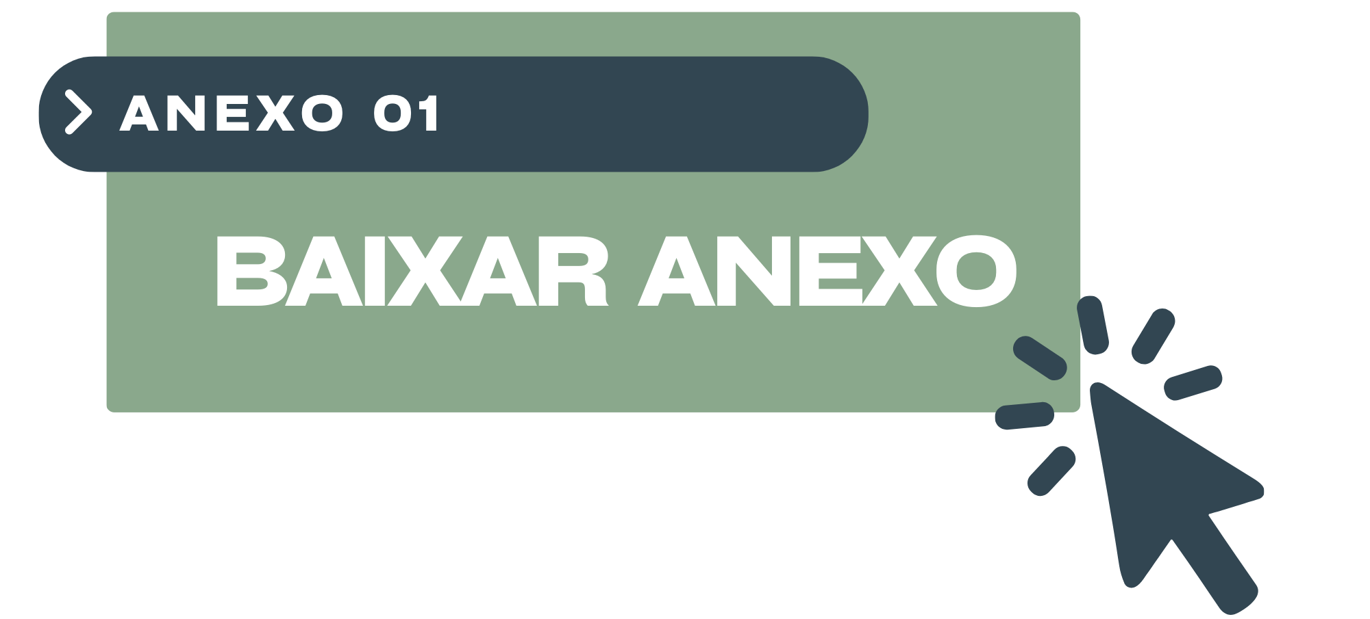 ANEXO 01