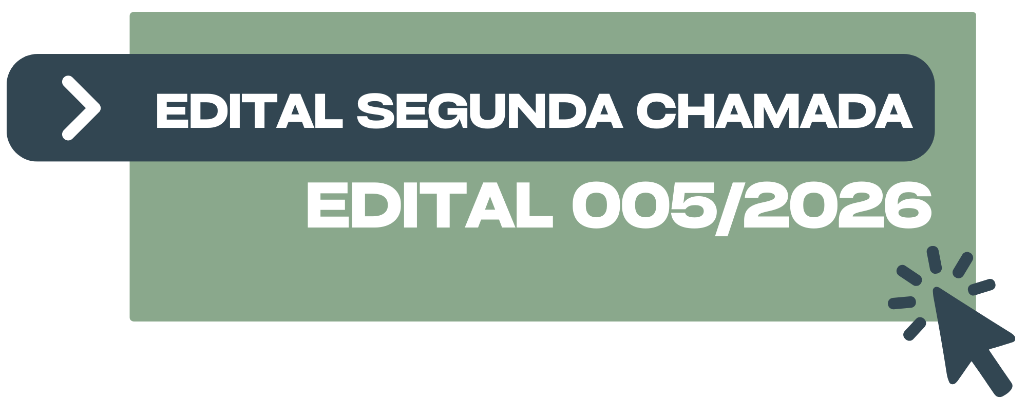 EDITAL 0052026.png